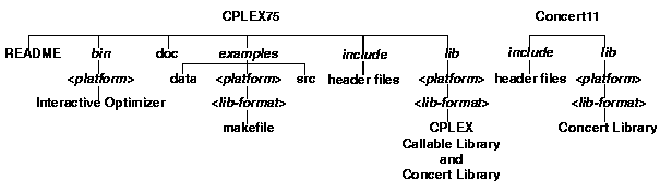 install cplex on unix